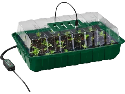Set mini serra con LED